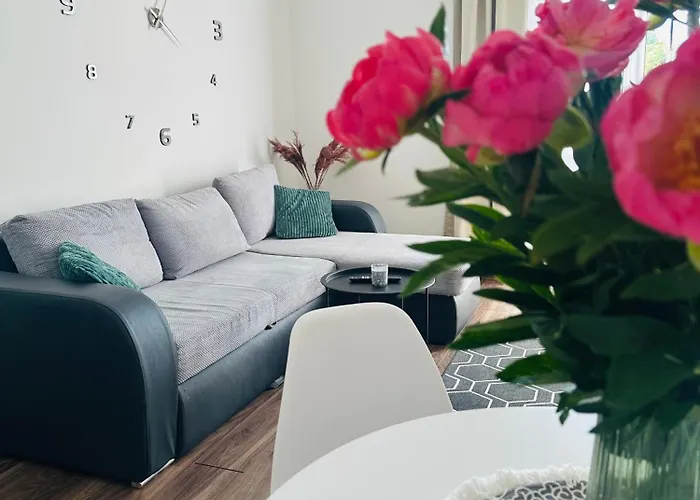 Centrum 2-bedroom צ'סטוצ'ובה